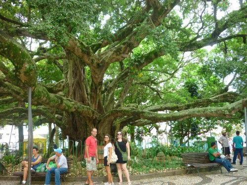 Praça XV de Novembro