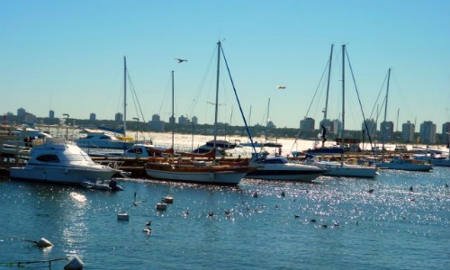 Porto de Punta del Este