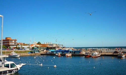 Porto de Punta del Este