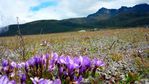 Parque Nacional Cotopaxi