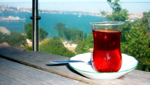 Setustu Cay Bahcesi, Istambul (Foto: Esse Mundo É Nosso)