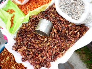 Chapulines - Comidas Estranhas pelo Mundo (Foto: Esse Mundo É Nosso)