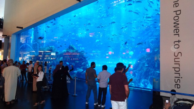 Dubai Aquarium & Underwater Zoo - The Dubai Mall e Show de Águas Dançantes de Dubai (Foto: Esse Mundo É Nosso)
