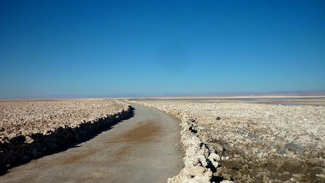 Passeios no Atacama: Lagunas Altiplânicas