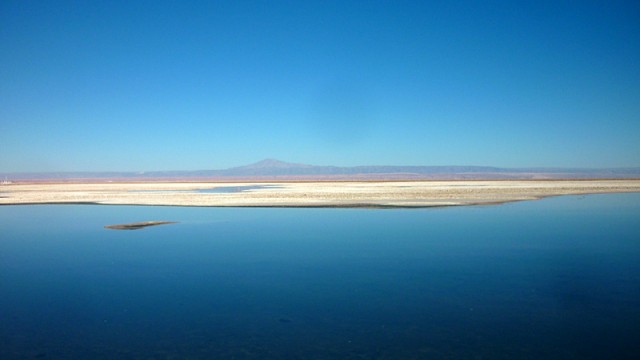 Passeios no Atacama: Lagunas Altiplânicas