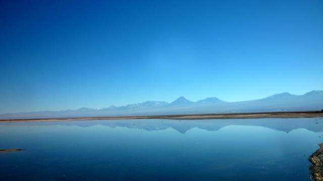 Passeios no Atacama: Lagunas Altiplânicas