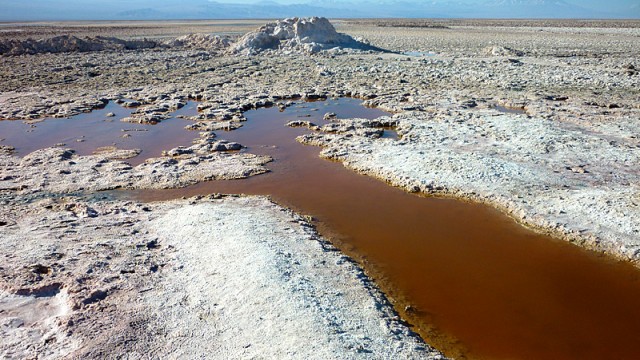 Passeios no Atacama: Lagunas Altiplânicas