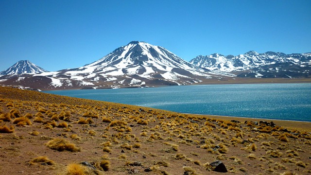 Passeios no Atacama: Lagunas Altiplânicas