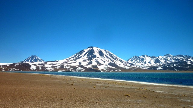 Passeios no Atacama: Lagunas Altiplânicas