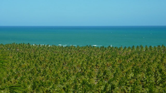 Praias de Maceió, Praia do Gunga (Foto: Esse Mundo É Nosso)