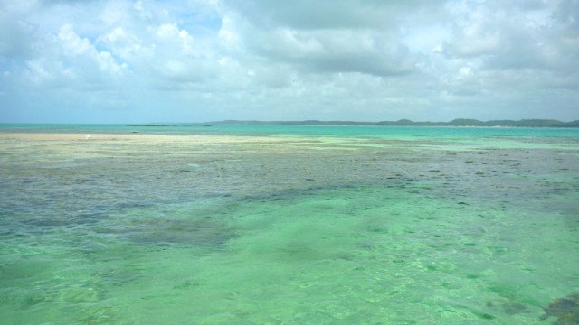 Maragogi (Foto: Esse Mundo É Nosso)