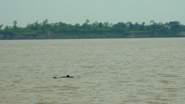 Encontro das águas em Manaus (Foto: Esse Mundo É Nosso)