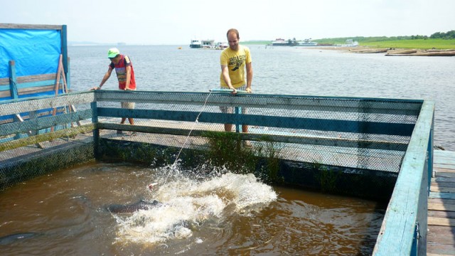 Encontro das águas em Manaus (Foto: Esse Mundo É Nosso)