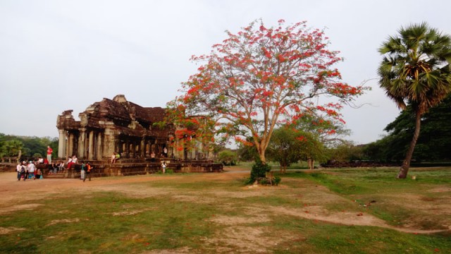 Angkor, Camboja (Foto: Esse Mundo É Nosso)