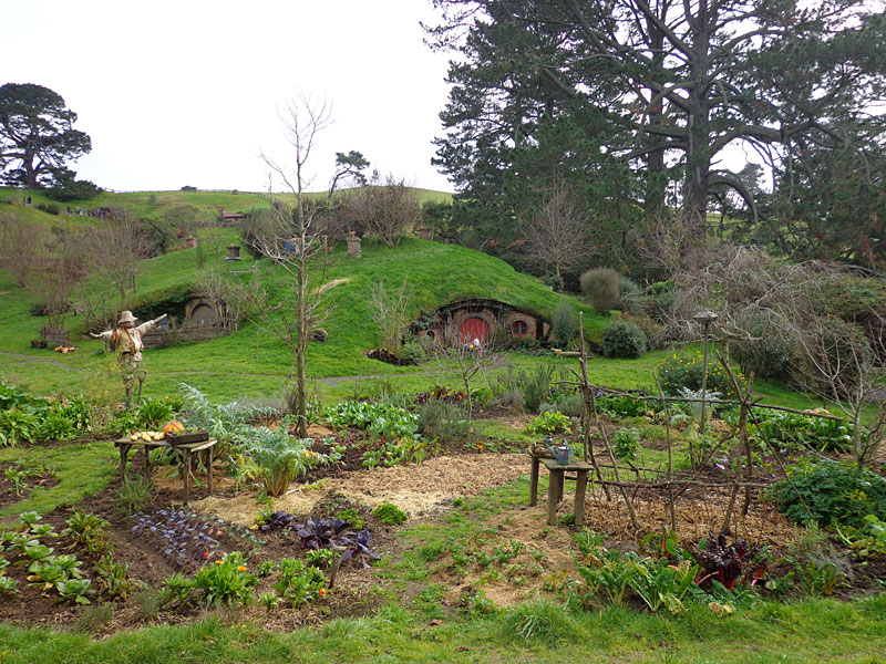 Hobbiton - Nova Zelândia (Foto: Henrique Bezerra)