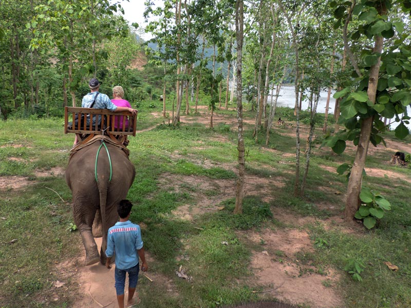 Andar de elefante no Laos (Foto: Esse Mundo É Nosso)