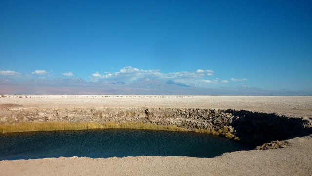 Ojos do Salar do Atacama (Foto: Esse Mundo é Nosso)