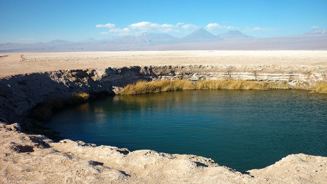 Ojos do Salar do Atacama (Foto: Esse Mundo é Nosso)
