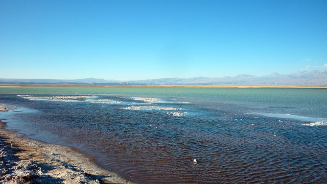 Deserto do Atacama (Foto: Esse Mundo é Nosso)