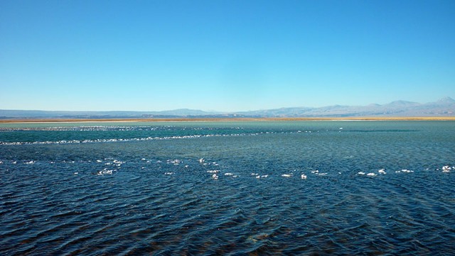 Deserto do Atacama (Foto: Esse Mundo é Nosso)