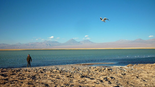 Deserto do Atacama (Foto: Esse Mundo é Nosso)