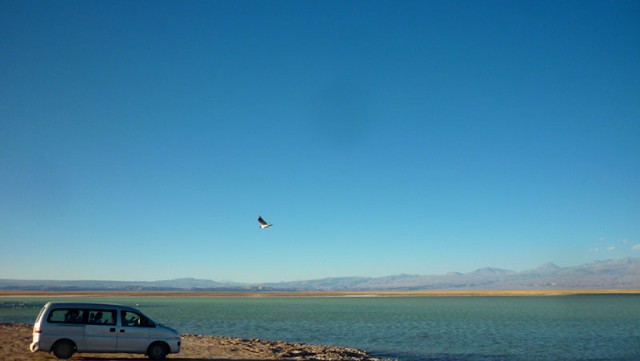 Deserto do Atacama (Foto: Esse Mundo é Nosso)