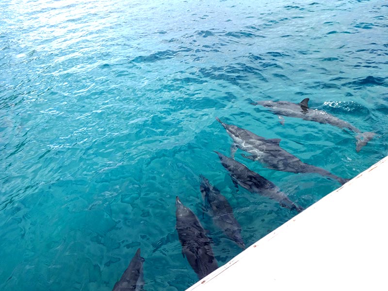 Angélica em Fernando de Noronha: Por onde ela passou