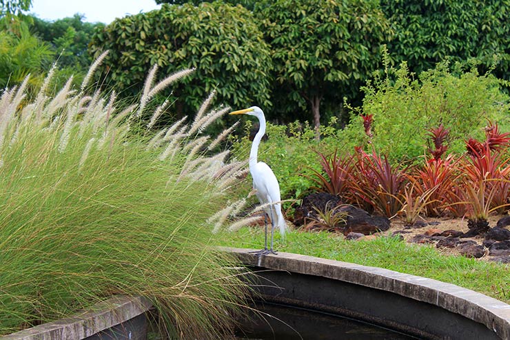 Fonte das Caruanas – Foto de Mangal das Garças, Belém - Tripadvisor