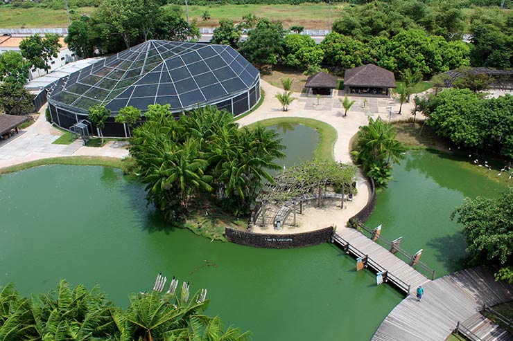 Mangal das garças - Belém - Pará, nilsonccb