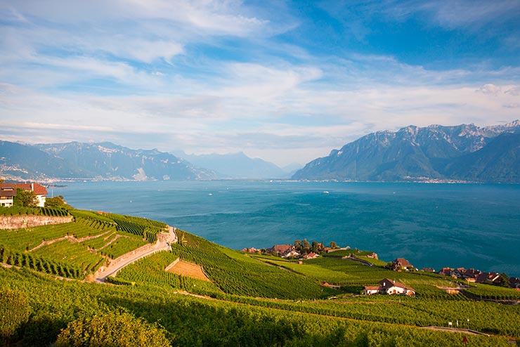 Região de Lavaux, Suíça (Foto via Shutterstock)
