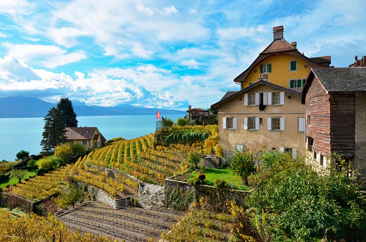 Região de Lavaux, Suíça (Foto via Shutterstock)
