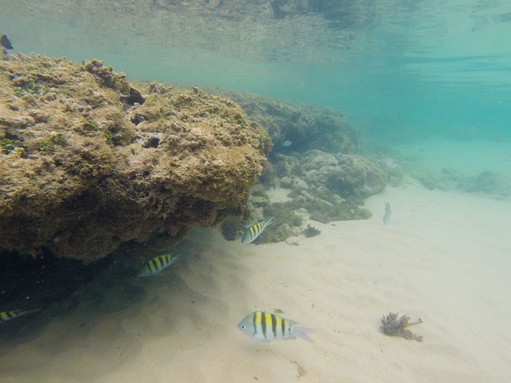 Piscinas Naturais de Taipu de Fora (Foto: Esse Mundo É Nosso)