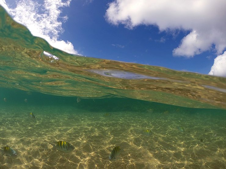 Piscinas Naturais de Taipu de Fora (Foto: Esse Mundo É Nosso)