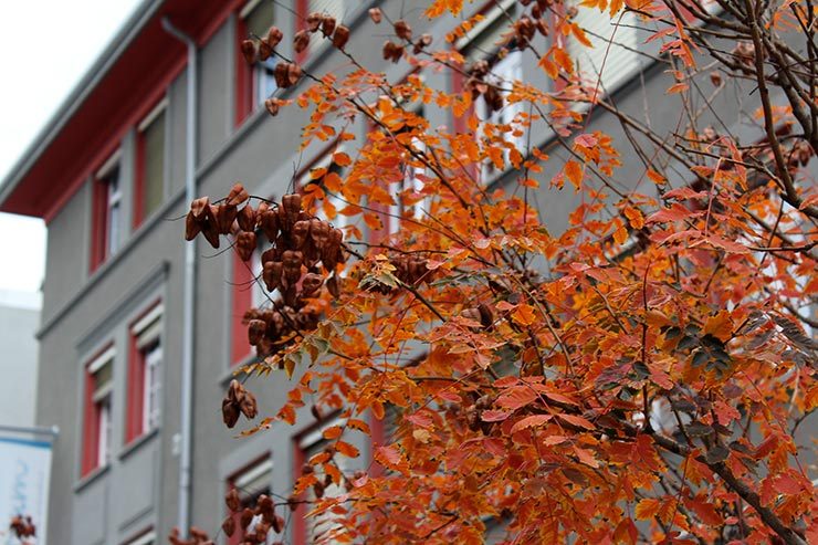 Dicas de Lausanne, Suíça - Quartier du Flon (Foto: Esse Mundo É Nosso)