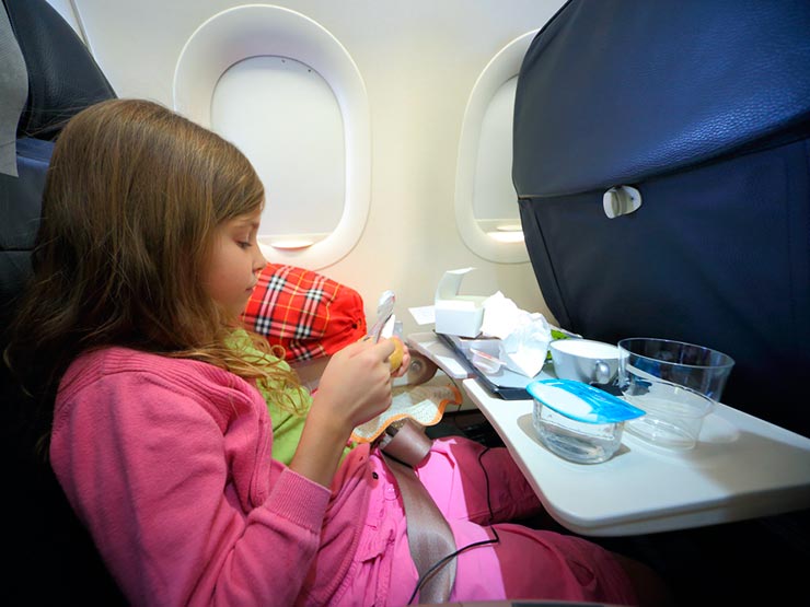 Germes no avião (Foto: Shutterstock)