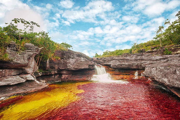 cano-cristales-colombia-5.jpg