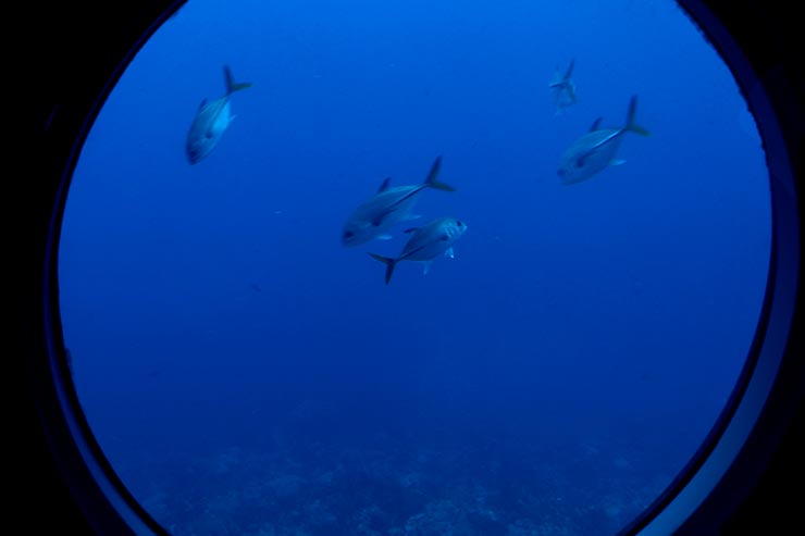 Submarino em Barbados (Foto: Esse Mundo é Nosso)