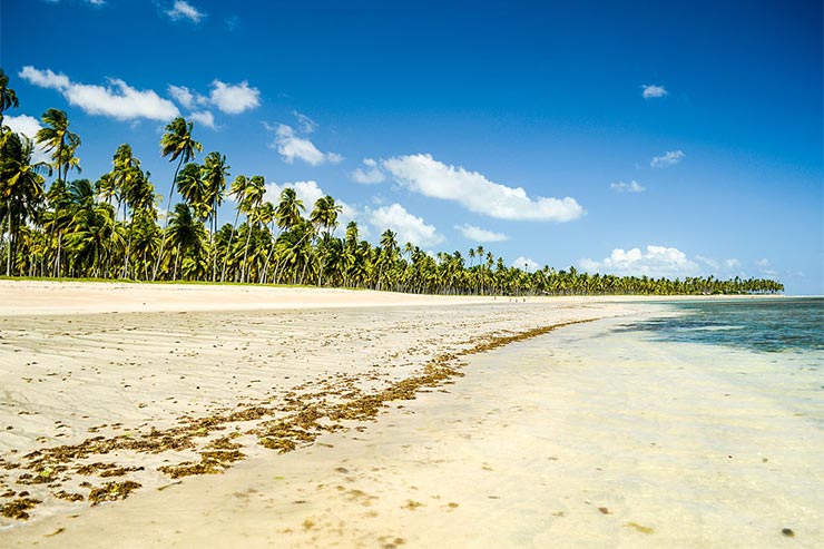 10 das melhores praias do Brasil [Foto Gustavocrocha (CC BY-SA 3.0)]