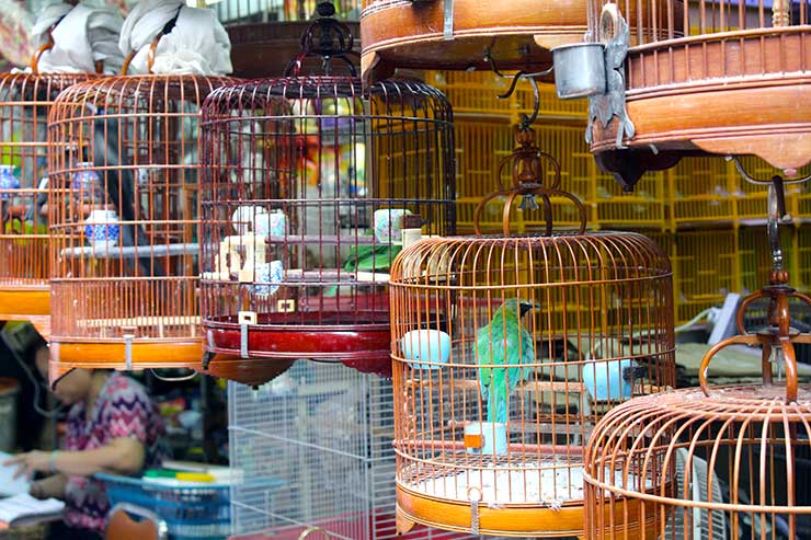 Mercados de Hong Kong (Foto: Esse Mundo é Nosso)