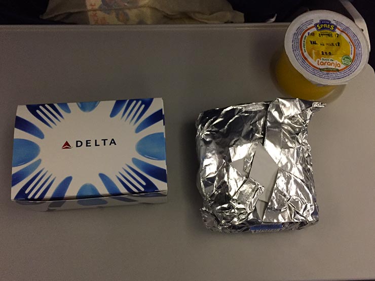 Como é voar Delta Airlines (Foto: Esse Mundo é Nosso)
