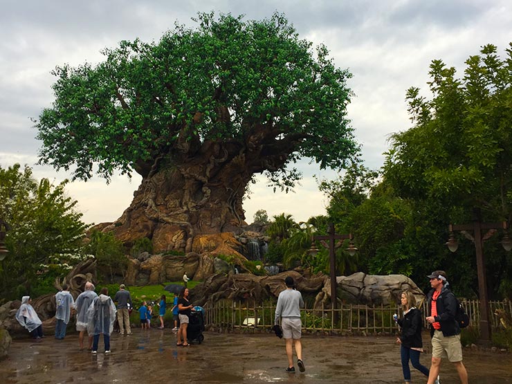 Quanto Custa Viajar pra Disney (Foto: Esse Mundo é Nosso)