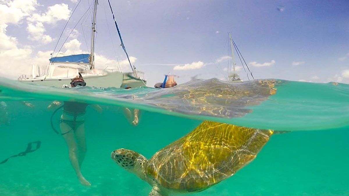 Catamarã em Barbados: De barco pelo mar azul do Caribe