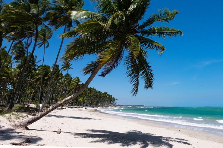 Fotos da Praia dos Carneiros (Foto via Shutterstock)