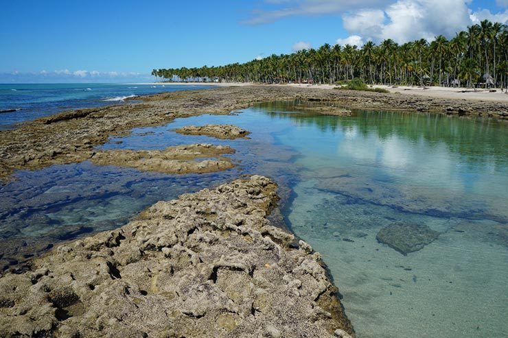 Fotos da Praia dos Carneiros (Foto via Shutterstock)