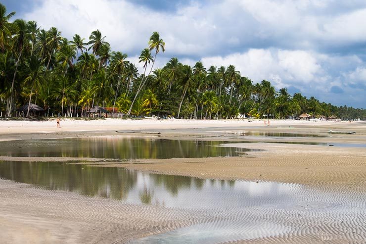 Fotos da Praia dos Carneiros (Foto via Shutterstock)