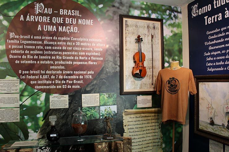 Parque Nacional do Pau-Brasil em Porto Seguro (Foto: Esse Mundo É Nosso)