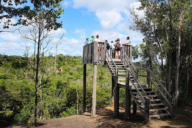 Parque Nacional do Pau-Brasil em Porto Seguro (Foto: Esse Mundo É Nosso)