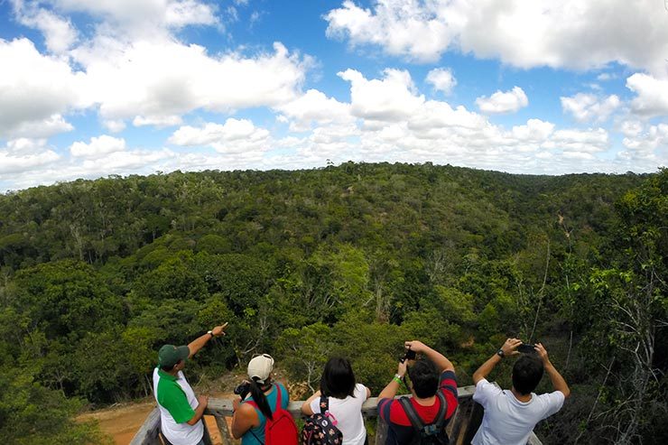 Parque Nacional do Pau-Brasil em Porto Seguro (Foto: Esse Mundo É Nosso)