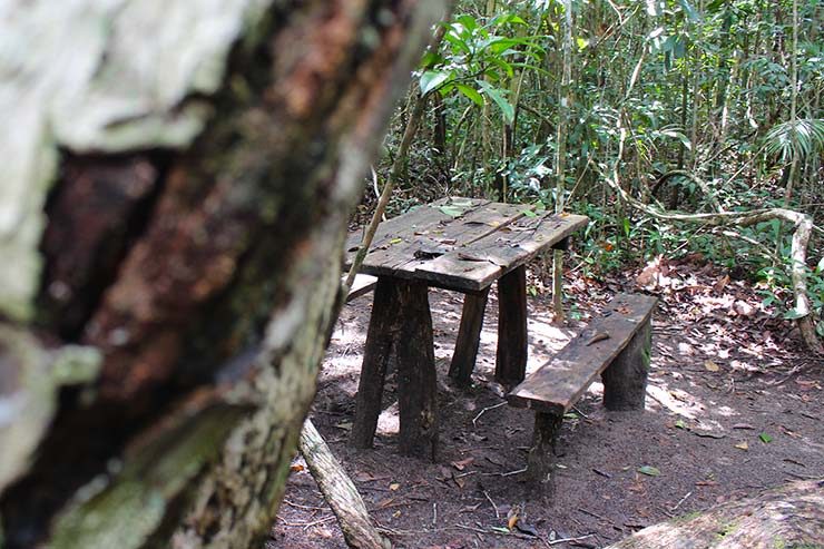 Parque Nacional do Pau-Brasil em Porto Seguro (Foto: Esse Mundo É Nosso)