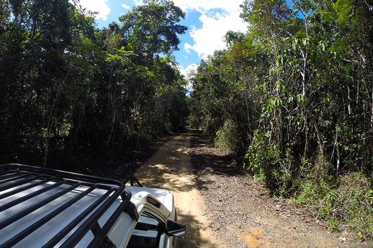 Parque Nacional do Pau-Brasil em Porto Seguro (Foto: Esse Mundo É Nosso)